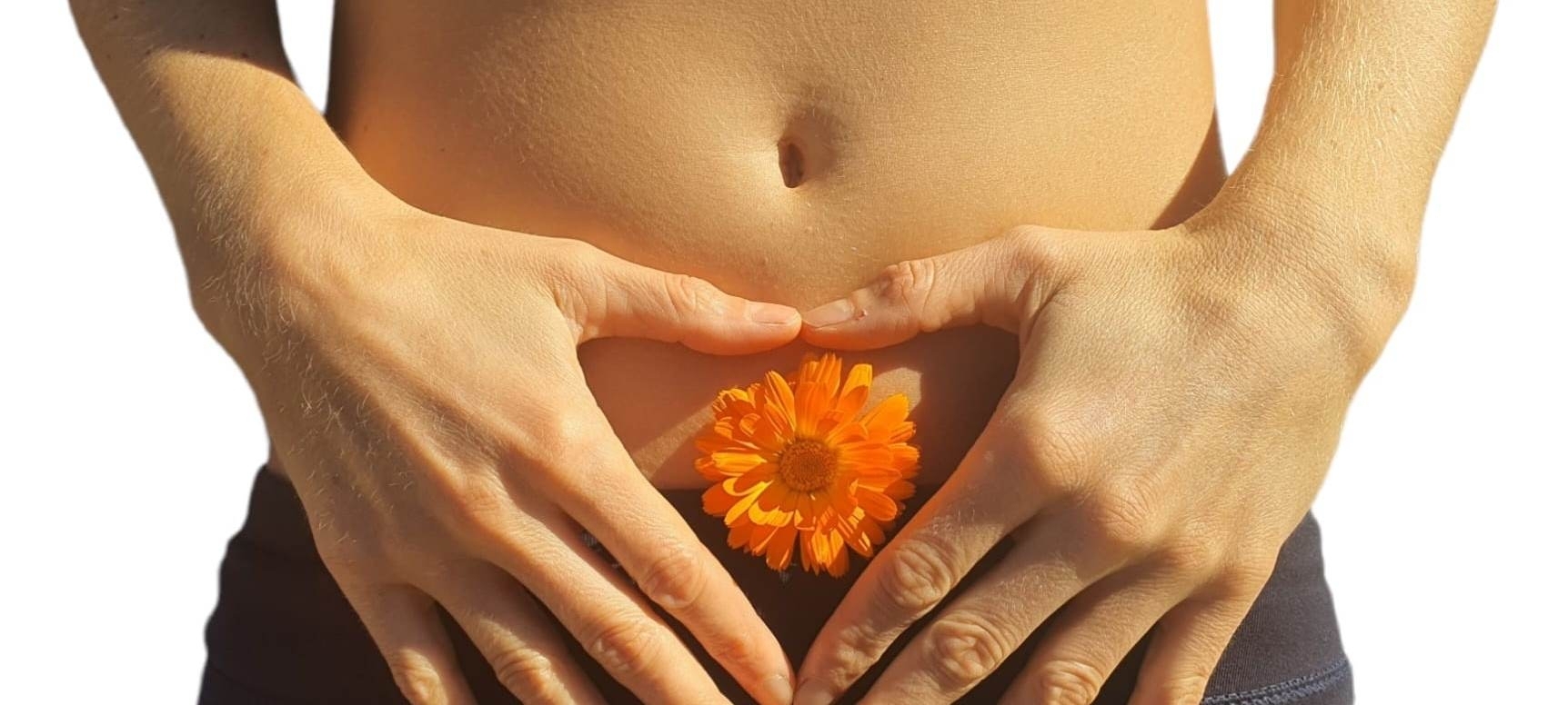 Metodo della Dott.ssa Arvigo